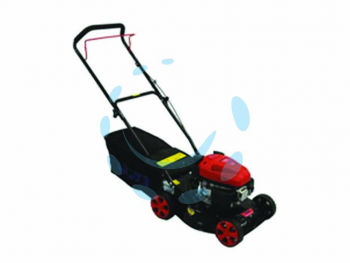 16591040240541-rasaerbaascoppiocc796tagliocm41scoccametallo