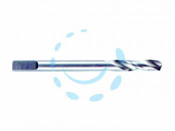 16680807887428-puntaguidaperalberinoomm65x90pun90percbpro350