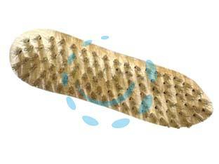 17625292956053-spazzolaacciaioabiscottodimensionimm213x56x446ranghi