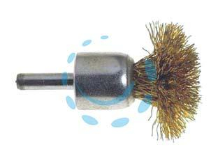 17766977476853-spazzolaafungofiliacciaioomm30codolomm6pertrapanopg47820