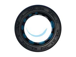 17784735348569-paraolioinferioreperrasaerba