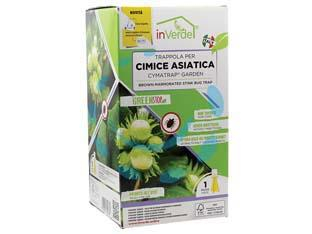 17814915291864-trappolapercimiceasiatica