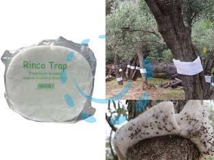 17833055617903-trappolaperinsettirincotrapcm15hxmt20circalunghezza