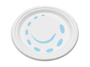 17881462439465-piattomonousopianomm176x16pz25