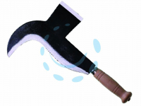 16680772878362-pennatotiposoralamamm270