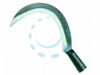 16680772937091-roncolatiposcansanorinaldiart113misura2lamacm29