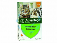 16680779092345-antiparassitarioadvantagepergattieconiglifinoakg4inconfda4pipettespoton