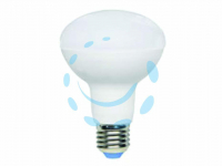 16680792134202-lampadaledreflectore2711w6500k1055lmomm80x114ha