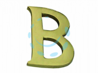 16680863196115-letteraalfabetobinottonelucido