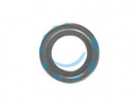 17625313573954-rondelladellospinottodelpistonepermotosegaleggeracc254