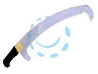 Segacci