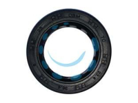 17784735348569-paraolioinferioreperrasaerba