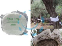 Trappole per insetti vari